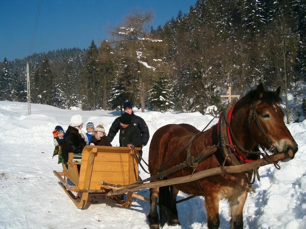 Noclegi "Przy Szlaku" Grywald Esterno foto